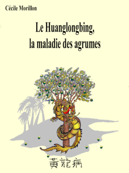 Première de couverture de la bande-dessinée "Le Huanglongbing, la maladie des Agrumes". ©Cécile Morillon